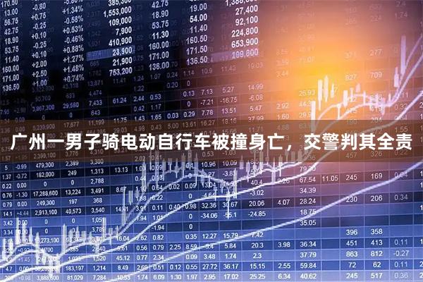 广州一男子骑电动自行车被撞身亡，交警判其全责