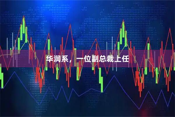 华润系，一位副总裁上任