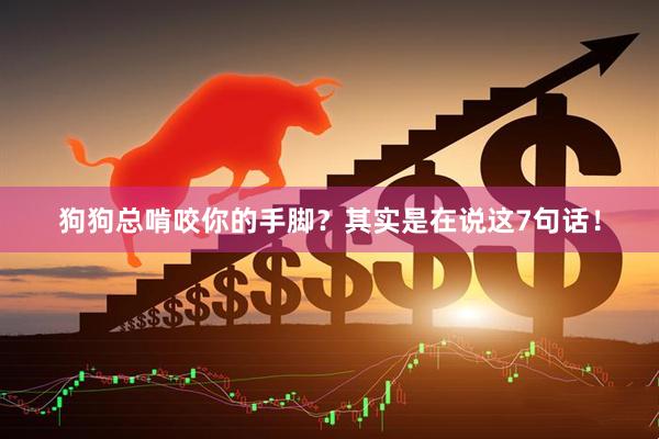 狗狗总啃咬你的手脚？其实是在说这7句话！