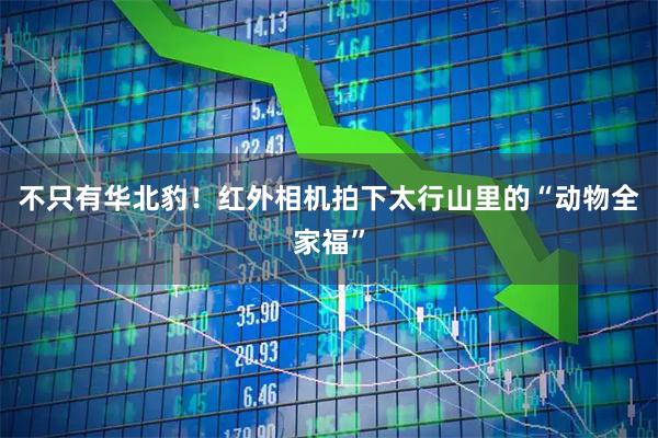 不只有华北豹！红外相机拍下太行山里的“动物全家福”