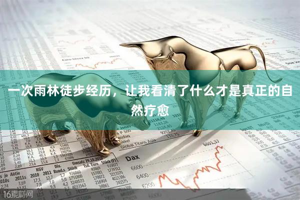 一次雨林徒步经历，让我看清了什么才是真正的自然疗愈