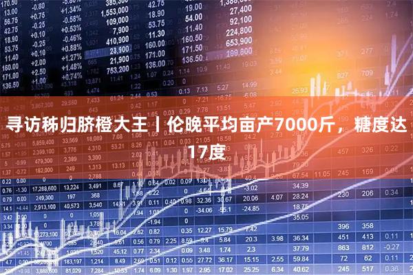 寻访秭归脐橙大王丨伦晚平均亩产7000斤，糖度达17度