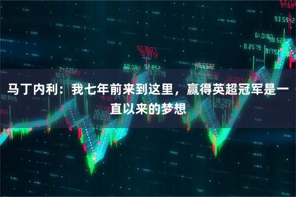 马丁内利：我七年前来到这里，赢得英超冠军是一直以来的梦想