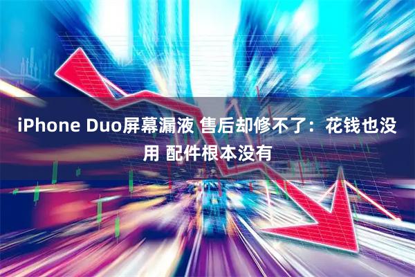 iPhone Duo屏幕漏液 售后却修不了:花钱也没用 配件根本没有