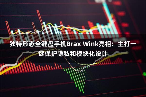 独特形态全键盘手机Brax Wink亮相：主打一键保护隐私和模块化设计
